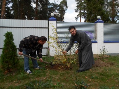 Акция "Посади дерево" в Александро-Невском храме Красноармейска, октябрь 2018