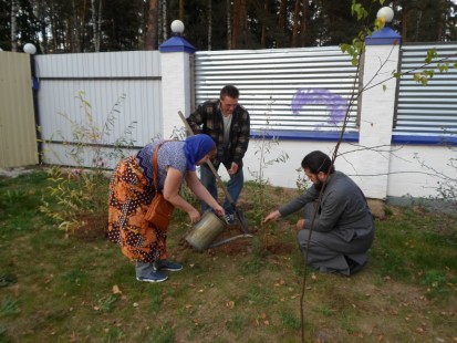 Акция "Посади дерево" в Александро-Невском храме Красноармейска, октябрь 2018