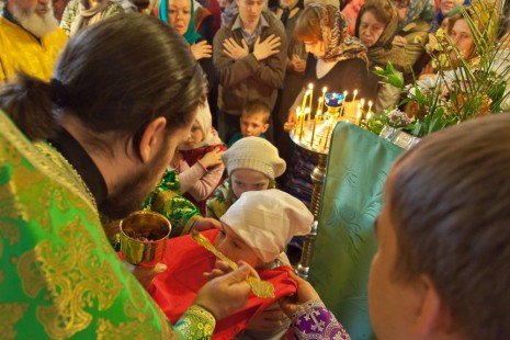 Божественная Литургия в Вербное воскресение Александро-Невский храм Красноармейска, апрель 2013 года